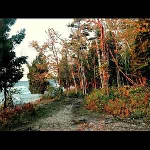 Meet your Posher, Kevin